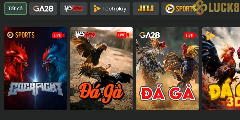 Tổng hợp hình thức Đá Gà C3 trực tiếp tại Luck8