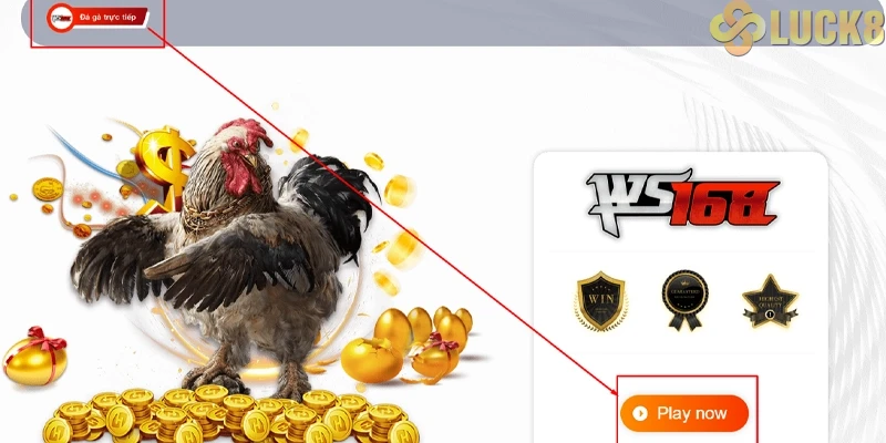 Đá gà trực tuyến